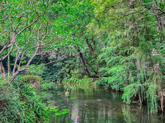 -广州市流溪河国家森林公园