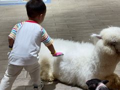 -深圳龙华星河COCO City(民治店)