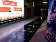 -奥斯卡升龙国际影城(RealD Cinema)