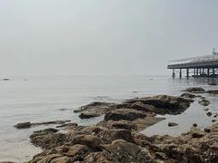 -北戴河碧螺塔海上酒吧公园