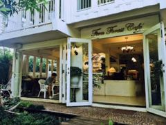 -Fern Forest Cafe