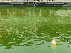 -DGE季风钓虾营地·团建·聚会