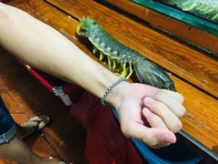 -班赞海鲜市场