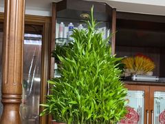 -静沐人生养生馆(佳宁娜分店)