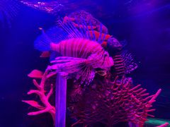 -沈阳海洋探索中心