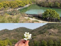 -白马涧龙池景区