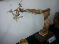 -比亚森自助烤肉料理(裕华店)