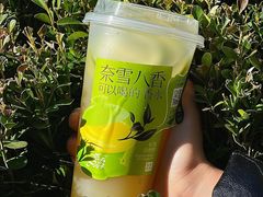 -奈雪的茶(正弘城PRO+店)