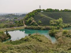 -龙坞茶村