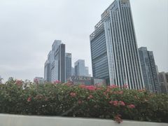 -平安金融中心云际观光层