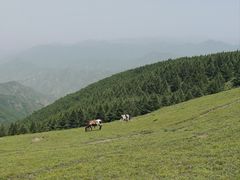 -灵山