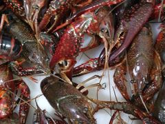 -宾朋海鲜特色美食餐厅·纯手工鲅鱼水饺(兴海路店)