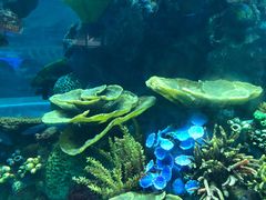 -青岛嘉年华主题乐园