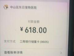 -东日国际动物医院·CT·心脏专科(桃源分院)