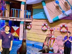 -烟台海昌鲸鲨海洋公园