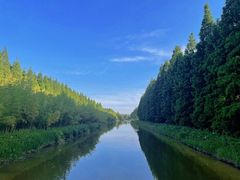 -黄海国家森林公园