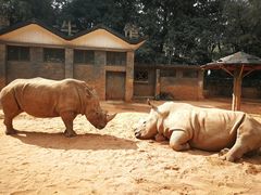 -昆明动物园