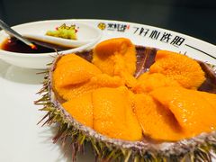 海胆-常鲜楼常来尝鲜海胆馆(星海店)
