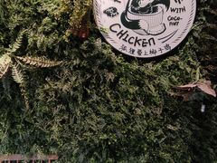 -狐狸爱上椰子鸡(滨江星光大道店)