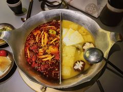 花胶鸡汤底-湊湊火锅·茶憩(南京万象天地店)