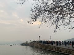 -CoCo都可(湖滨银泰店B区店)