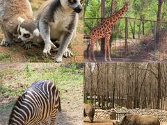 -北京野生动物园