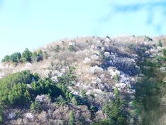 -北京鹫峰国家森林公园