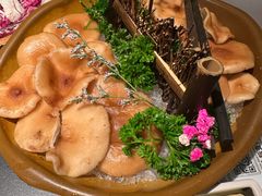 -季季山·云南野生菌火锅(上海首店)