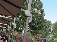-蘇河湾·新鲁菜·泰山宴(泰山店)