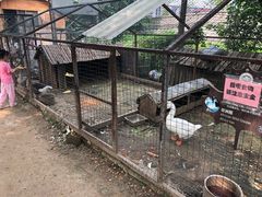 -意大利农场度假村