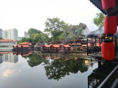 -侨美·唐荔园·40年地道粤菜