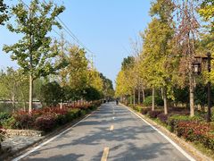 -黄陂区野村谷景区