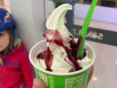 -Salud撒露欧洲冻酸奶(蓝色港湾店)