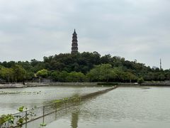 -顺峰山公园