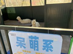 -青岛鑫江温德姆酒店