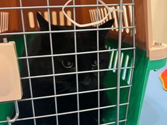 -萌兽医馆·犬猫专科·眼科中心·宠物医院(朝阳门分院)