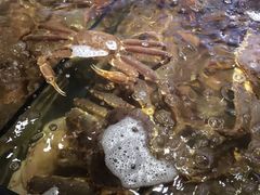 -蟹之国·精品蟹料理(极地店)