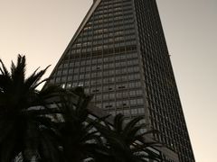 -厦门威斯汀酒店