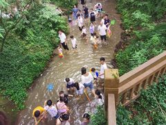 -桤木河湿地公园