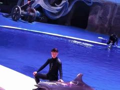 -华夏文旅海洋公园