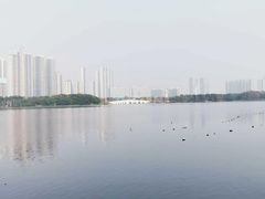 -顺峰山公园