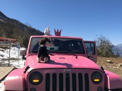 -帕帕拉兹宠物(亚洲旗舰店)