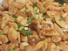 -鸽子窝(青塔店)