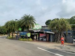 -圣淘沙天际线斜坡滑车