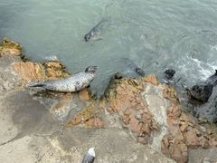 -栾川竹海野生动物园