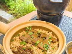 黑松露牛肝菌焖饭-大龙燚·旷野鲜火锅(广州首店)