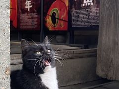 -潜口民宅博物馆