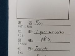 -申普宠物医院·心脏介入·心血管微创(总院)