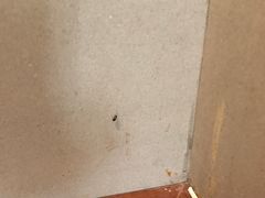 -汤印温泉假日酒店