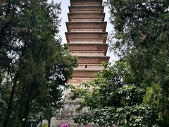 -洛阳白马寺